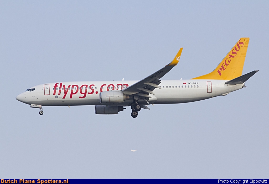 TC-CPP Boeing 737-800 Pegasus by Sippowitz