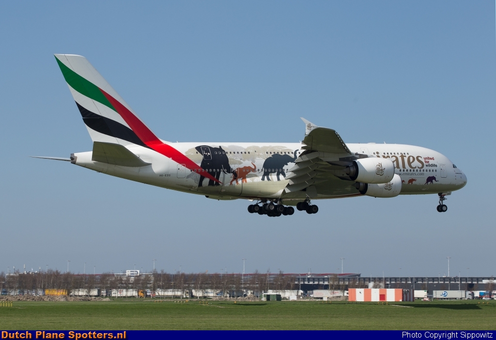 A6-EDG Airbus A380-800 Emirates by Sippowitz