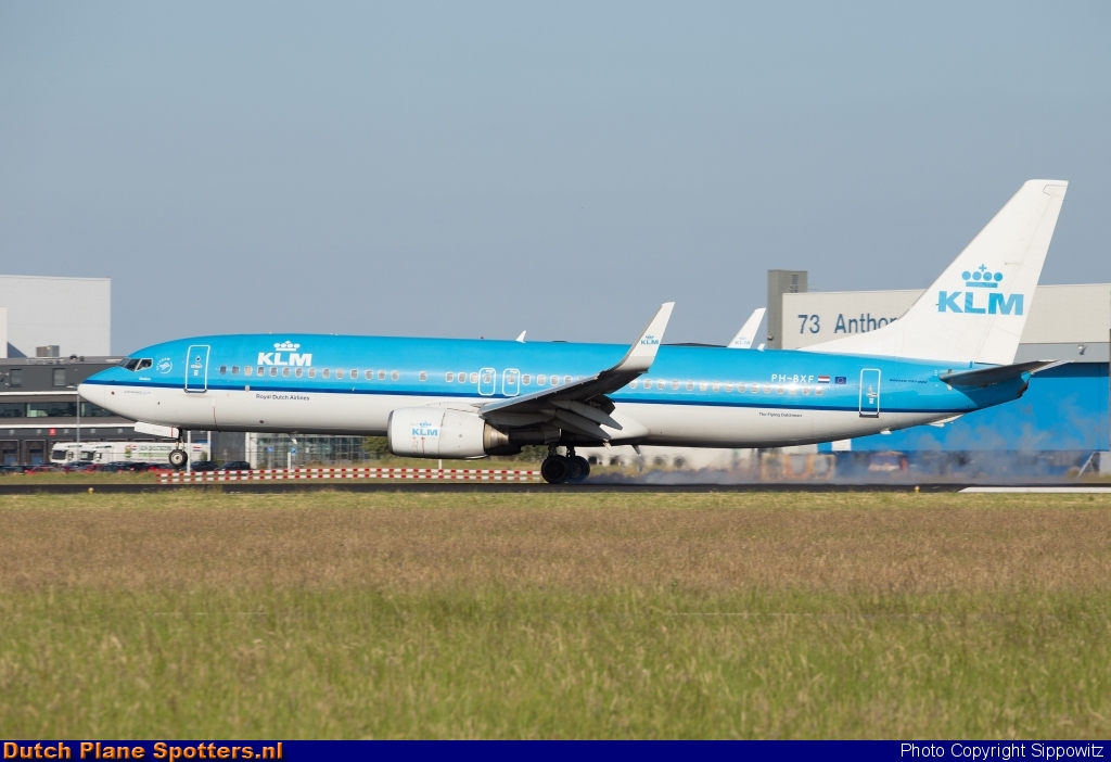 PH-BXF Boeing 737-800 KLM Royal Dutch Airlines by Sippowitz