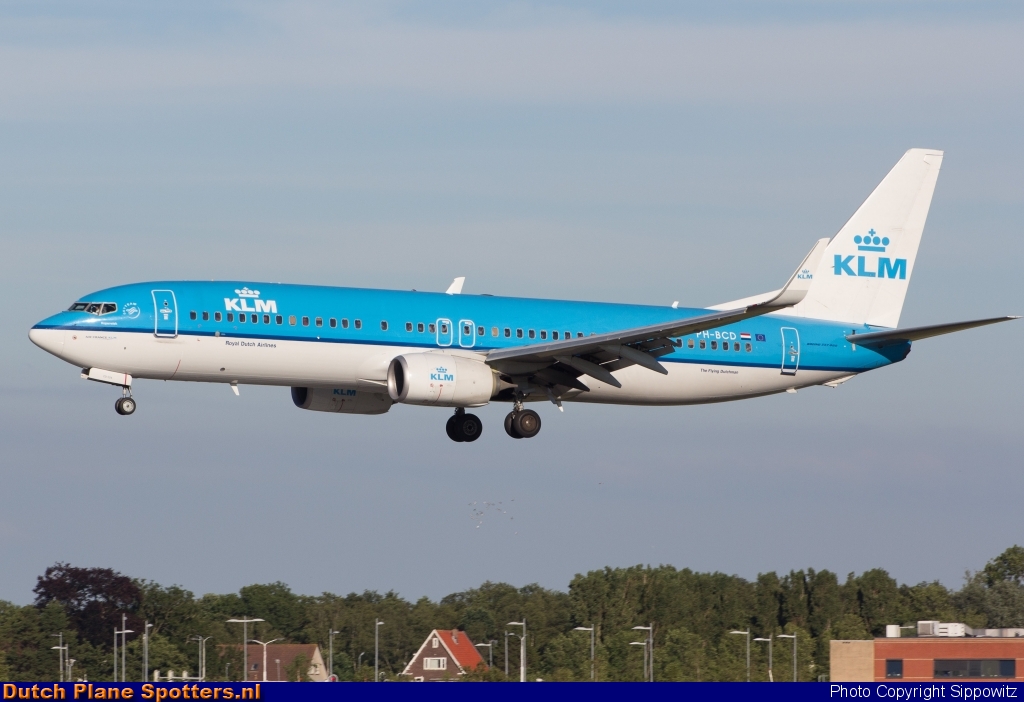PH-BCD Boeing 737-800 KLM Royal Dutch Airlines by Sippowitz