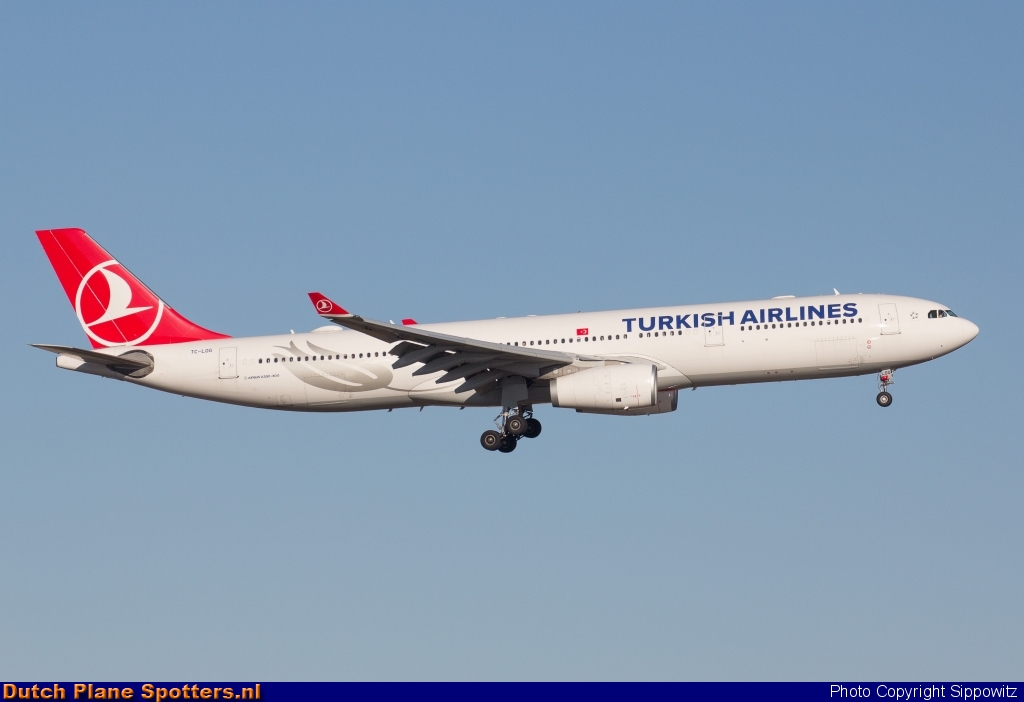 TC-LOG Airbus A330-300 Turkish Airlines by Sippowitz