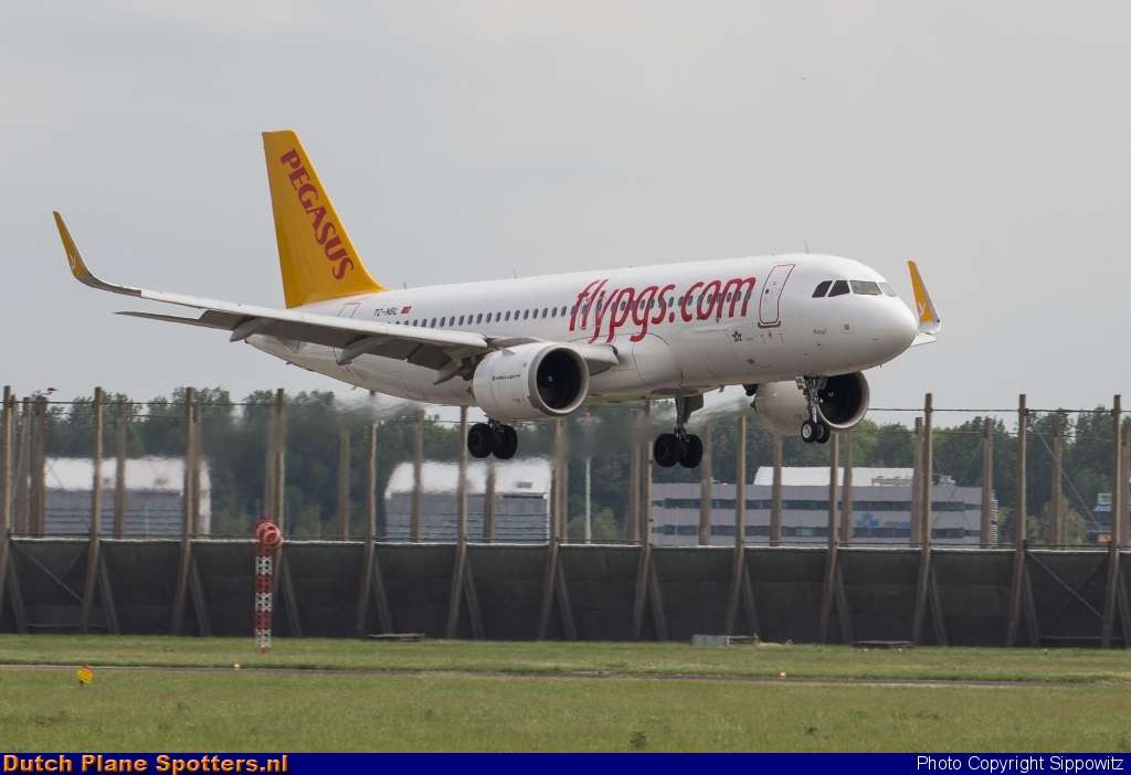 TC-NBL Airbus A320neo Pegasus by Sippowitz