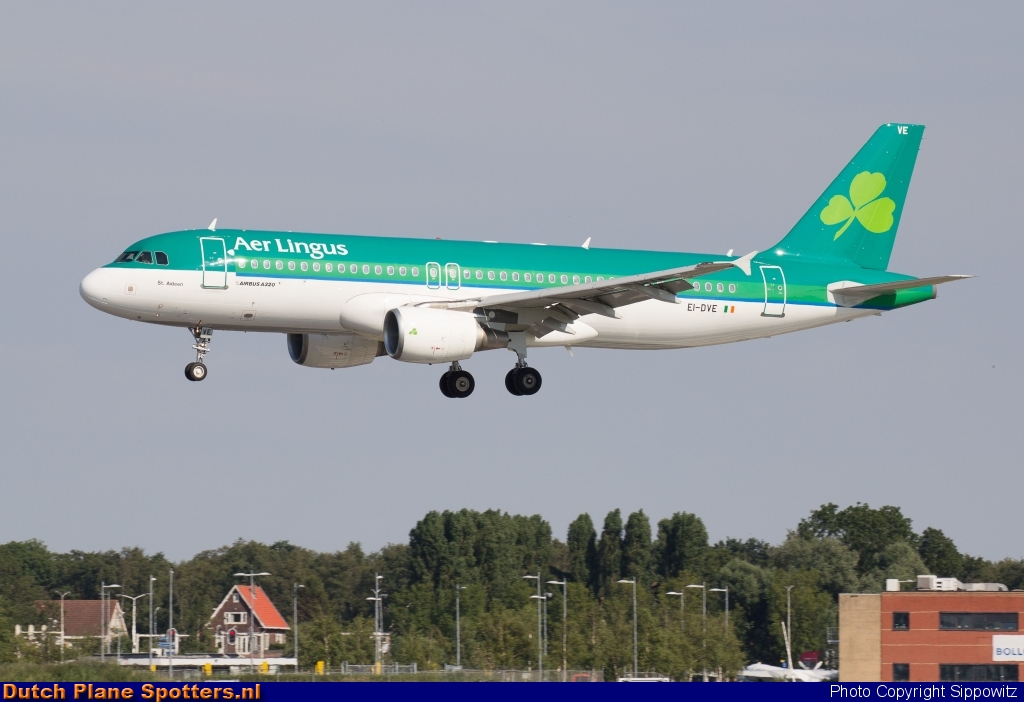 EI-DVE Airbus A320 Aer Lingus by Sippowitz