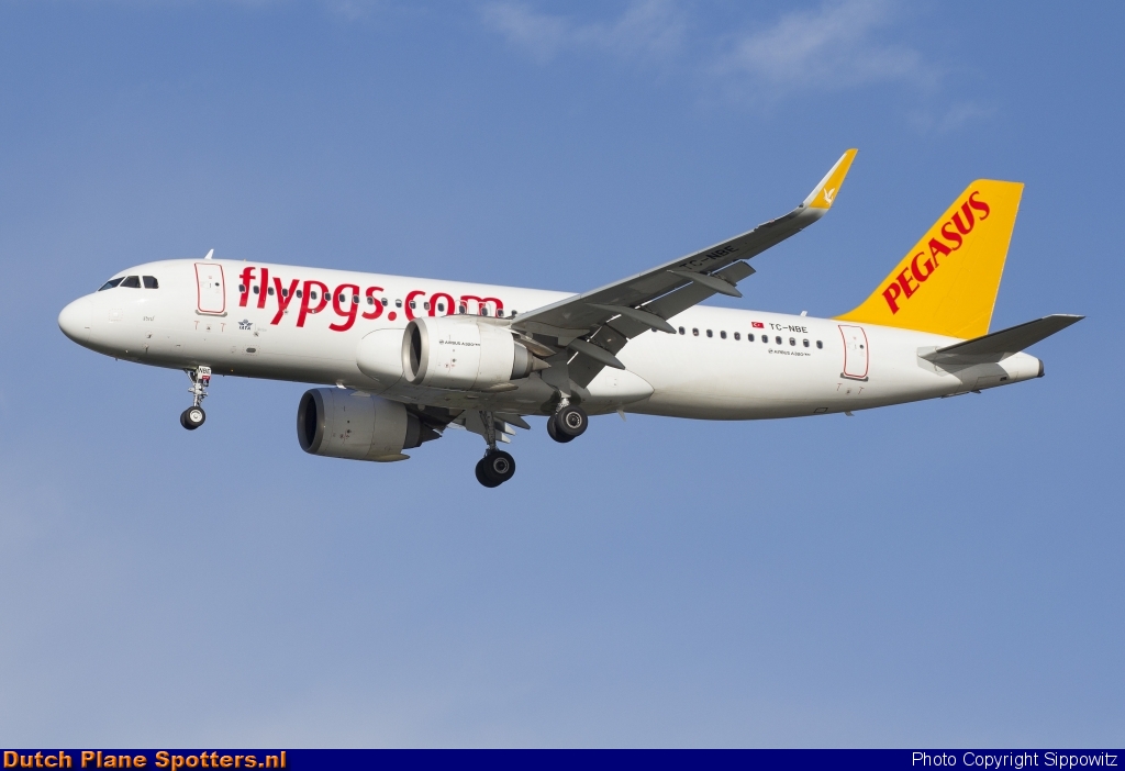 TC-NBE Airbus A320neo Pegasus by Sippowitz