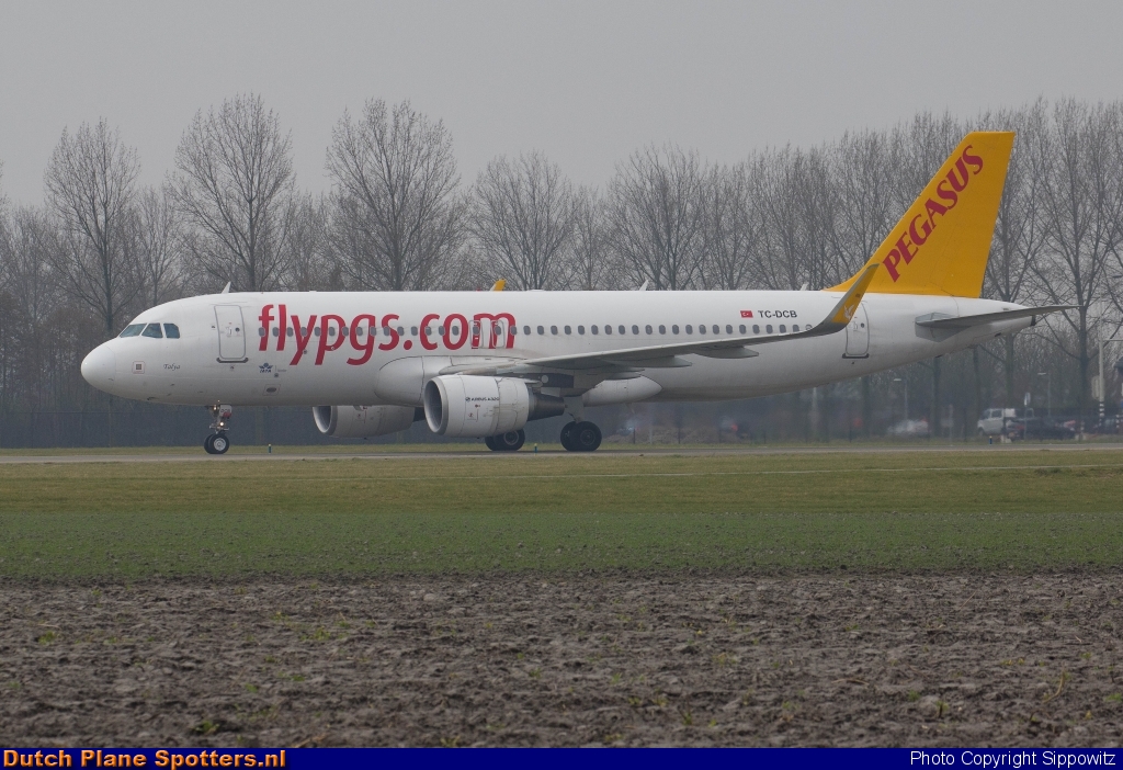 TC-DCB Airbus A320 Pegasus by Sippowitz
