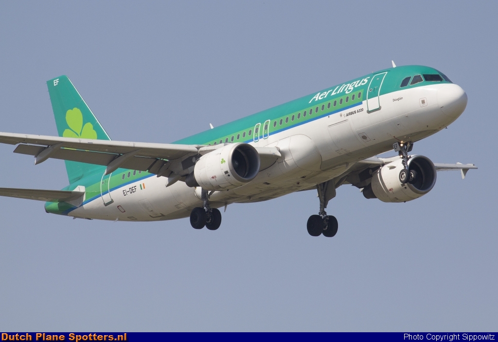 EI-DEF Airbus A320 Aer Lingus by Sippowitz