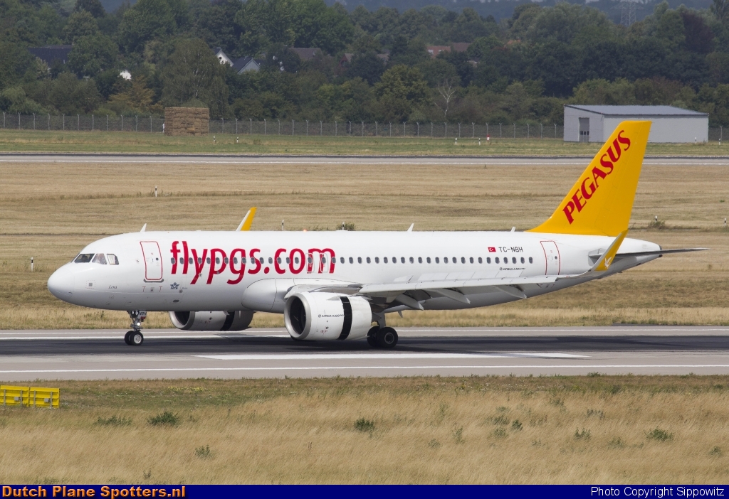 TC-NBH Airbus A320neo Pegasus by Sippowitz