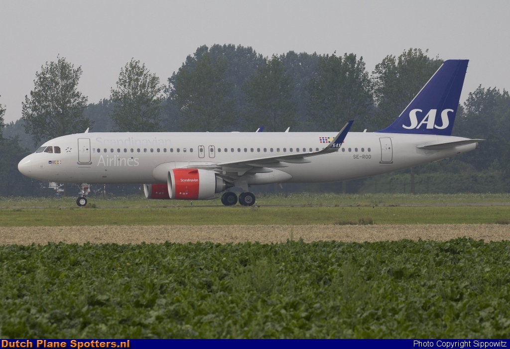 SE-ROO Airbus A320neo SAS Scandinavian Airlines by Sippowitz