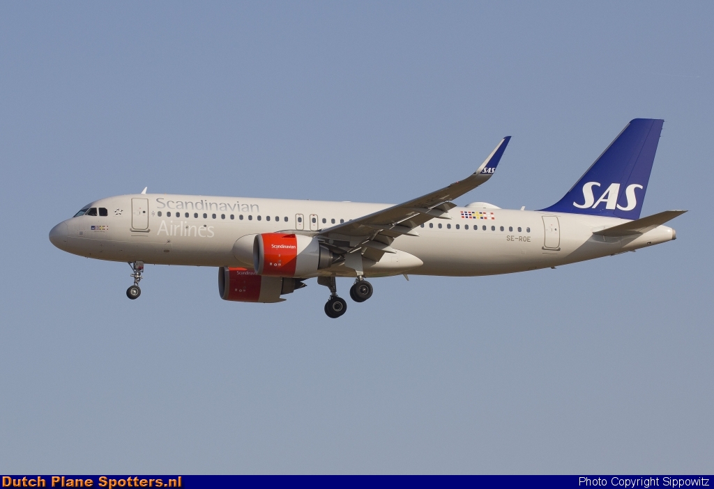 SE-ROE Airbus A320neo SAS Scandinavian Airlines by Sippowitz