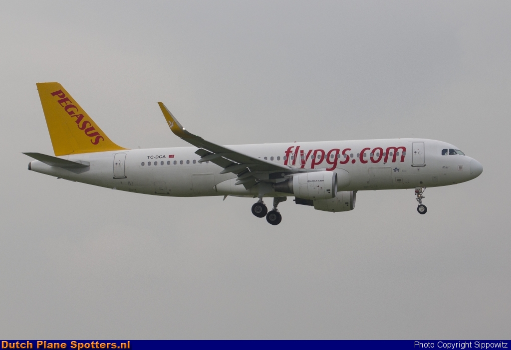 TC-DCA Airbus A320 Pegasus by Sippowitz