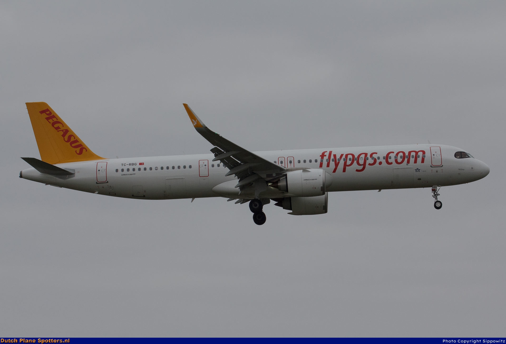 TC-RBG Airbus A321neo Pegasus by Sippowitz