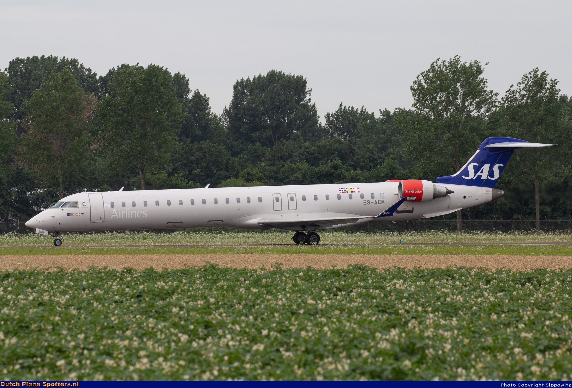 ES-ACM Bombardier Canadair CRJ900 Xfly (SAS Scandinavian Airlines) by Sippowitz