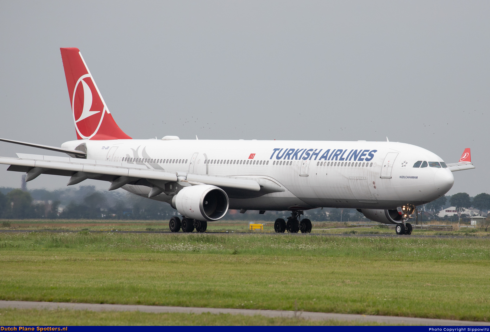 TC-JOI Airbus A330-300 Turkish Airlines by Sippowitz