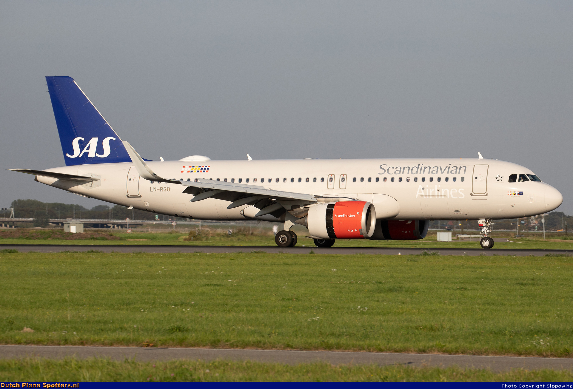 LN-RGO Airbus A320neo SAS Scandinavian Airlines by Sippowitz