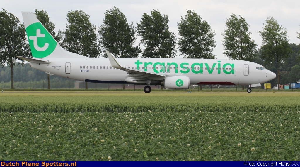 PH-HXK Boeing 737-800 Transavia by HansFXX