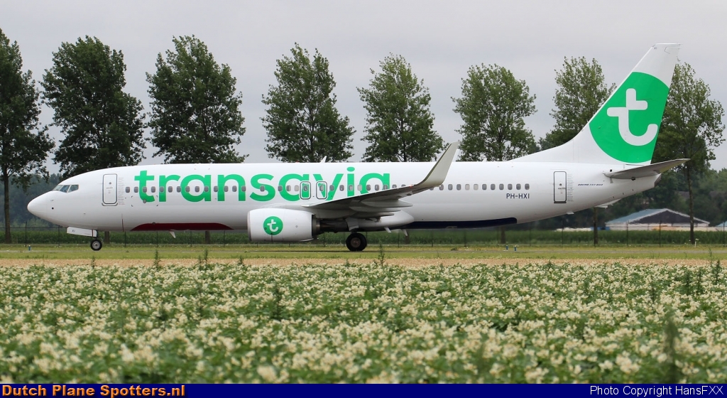 PH-HXI Boeing 737-800 Transavia by HansFXX