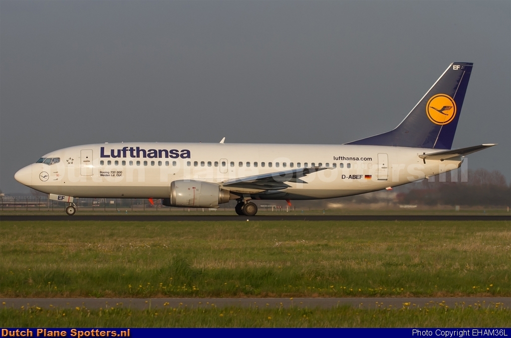 D-ABEF Boeing 737-300 Lufthansa by EHAM36L