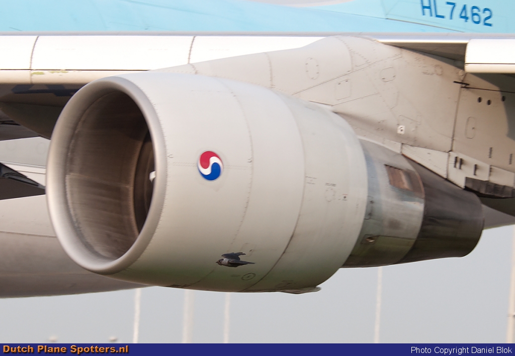 HL7462 Boeing 747-400 Korean Air Cargo by Daniel Blok