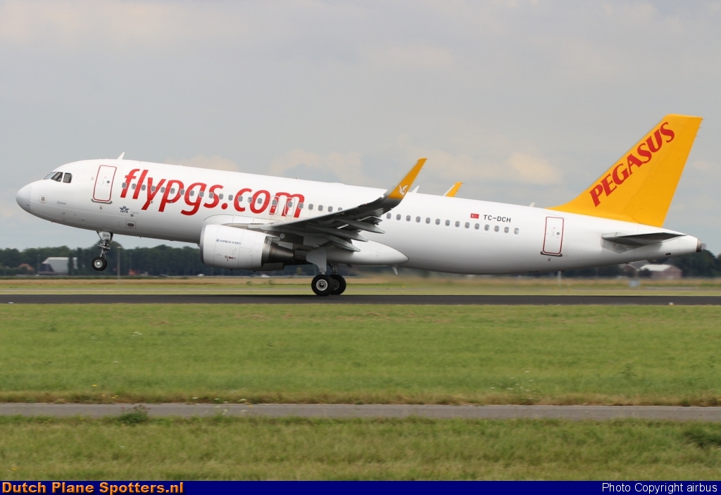 TC-DCH Airbus A320 Pegasus by airbus