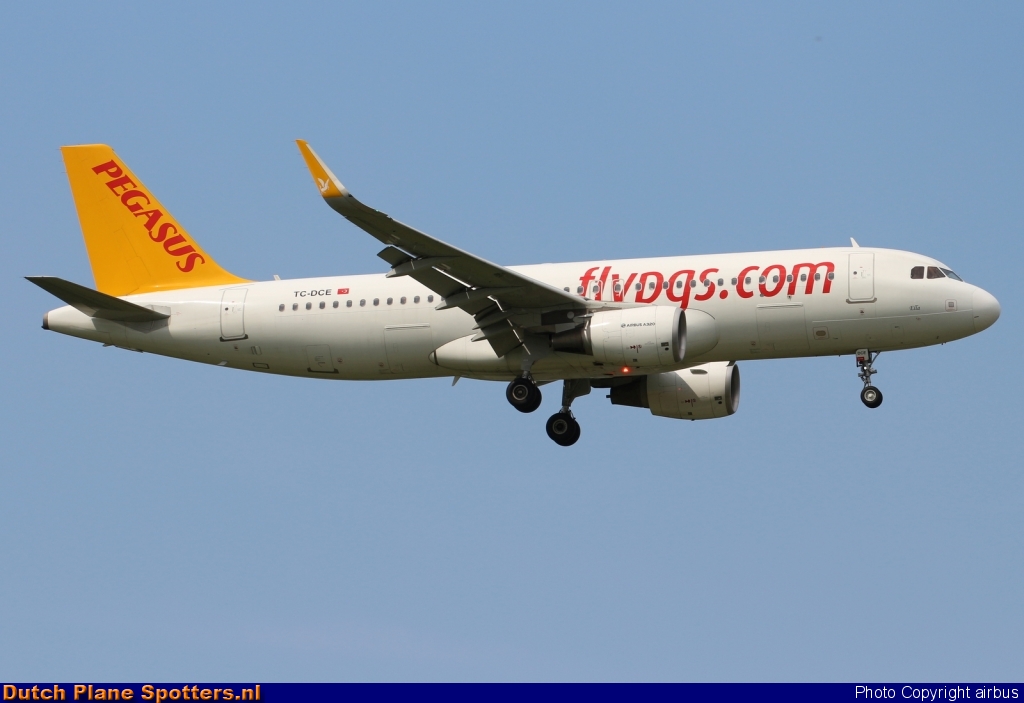 TC-DCE Airbus A320 Pegasus by airbus
