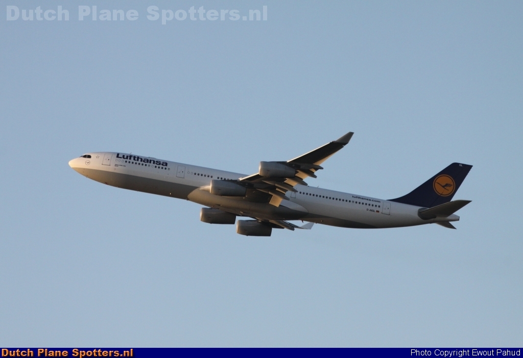 D-AIGL Airbus A340-300 Lufthansa by Ewout Pahud