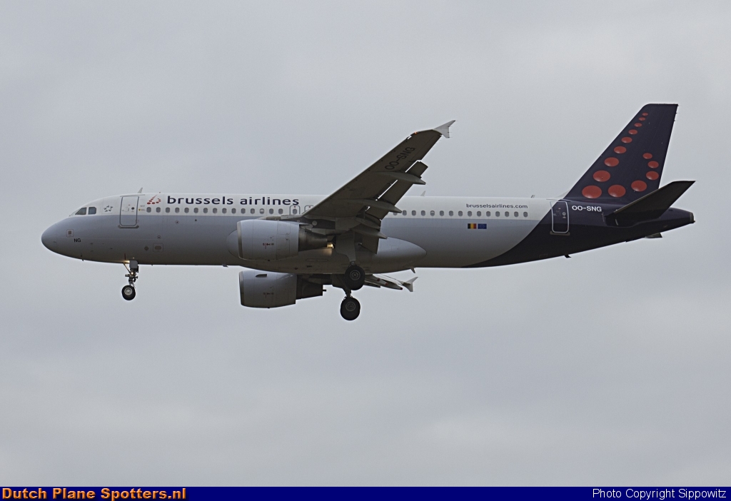 OO-SNG Airbus A320 Brussels Airlines by Sippowitz