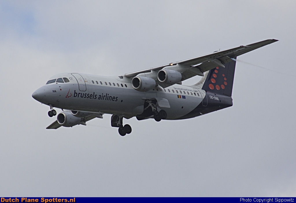 OO-DWA BAe 146 Brussels Airlines by Sippowitz