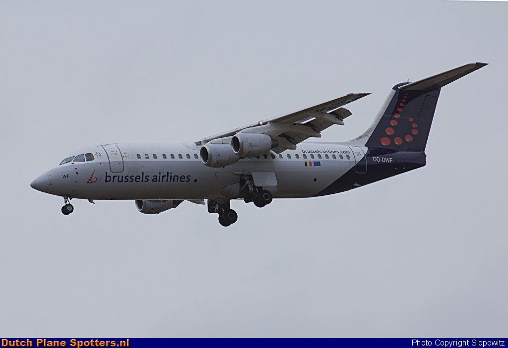 OO-DWF BAe 146 Brussels Airlines by Sippowitz