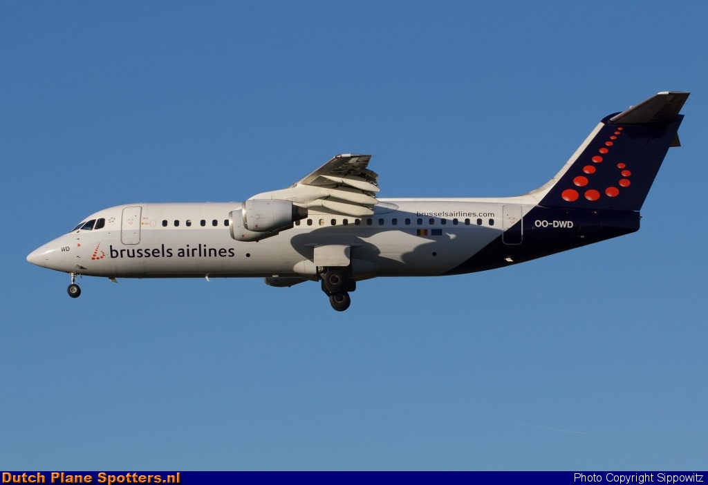 OO-DWD BAe 146 Brussels Airlines by Sippowitz