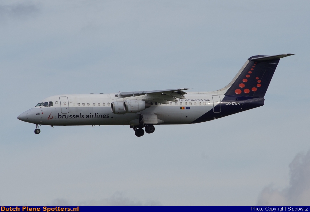 OO-DWK BAe 146 Brussels Airlines by Sippowitz