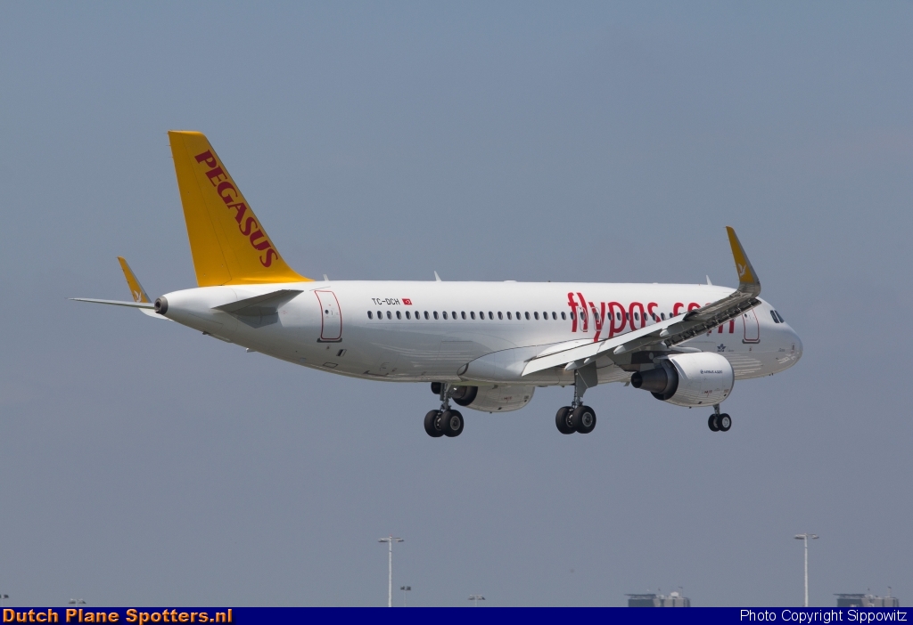 TC-DCH Airbus A320 Pegasus by Sippowitz