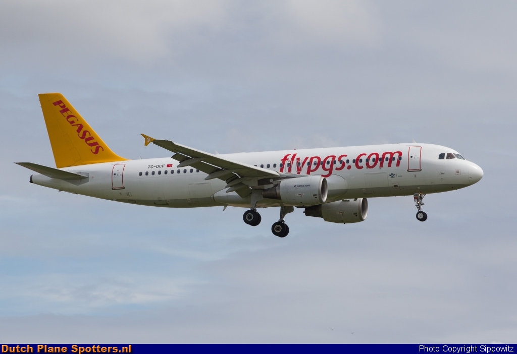 TC-DCF Airbus A320 Pegasus by Sippowitz
