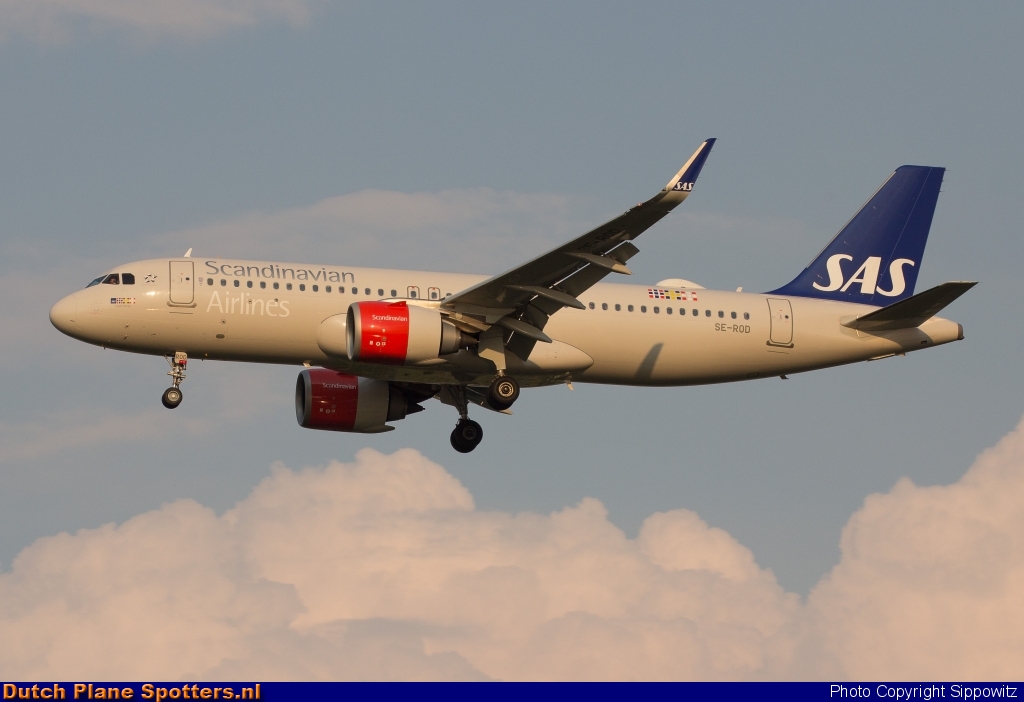 SE-ROD Airbus A320neo SAS Scandinavian Airlines by Sippowitz