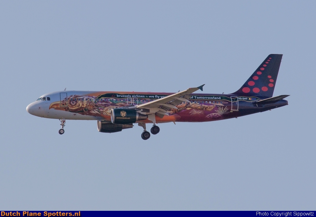 OO-SNF Airbus A320 Brussels Airlines by Sippowitz