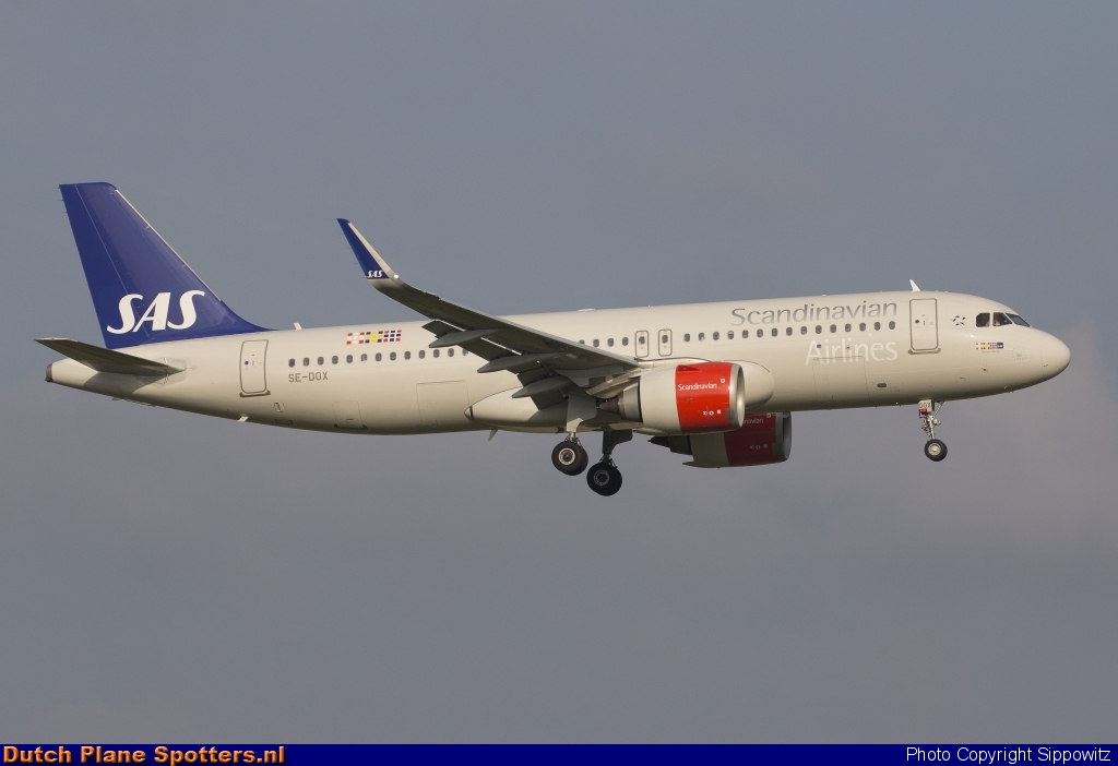 SE-DOX Airbus A320neo SAS Scandinavian Airlines by Sippowitz