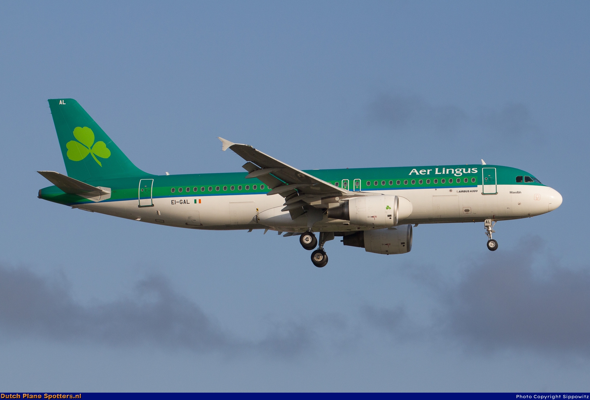 EI-GAL Airbus A320 Aer Lingus by Sippowitz