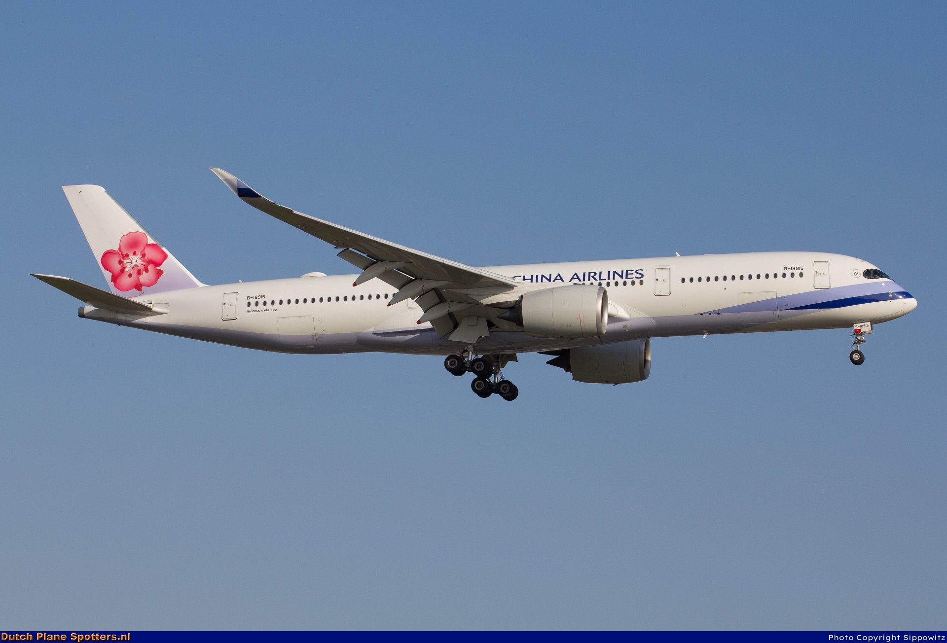 B-18915 Airbus A350-900 China Airlines by Sippowitz