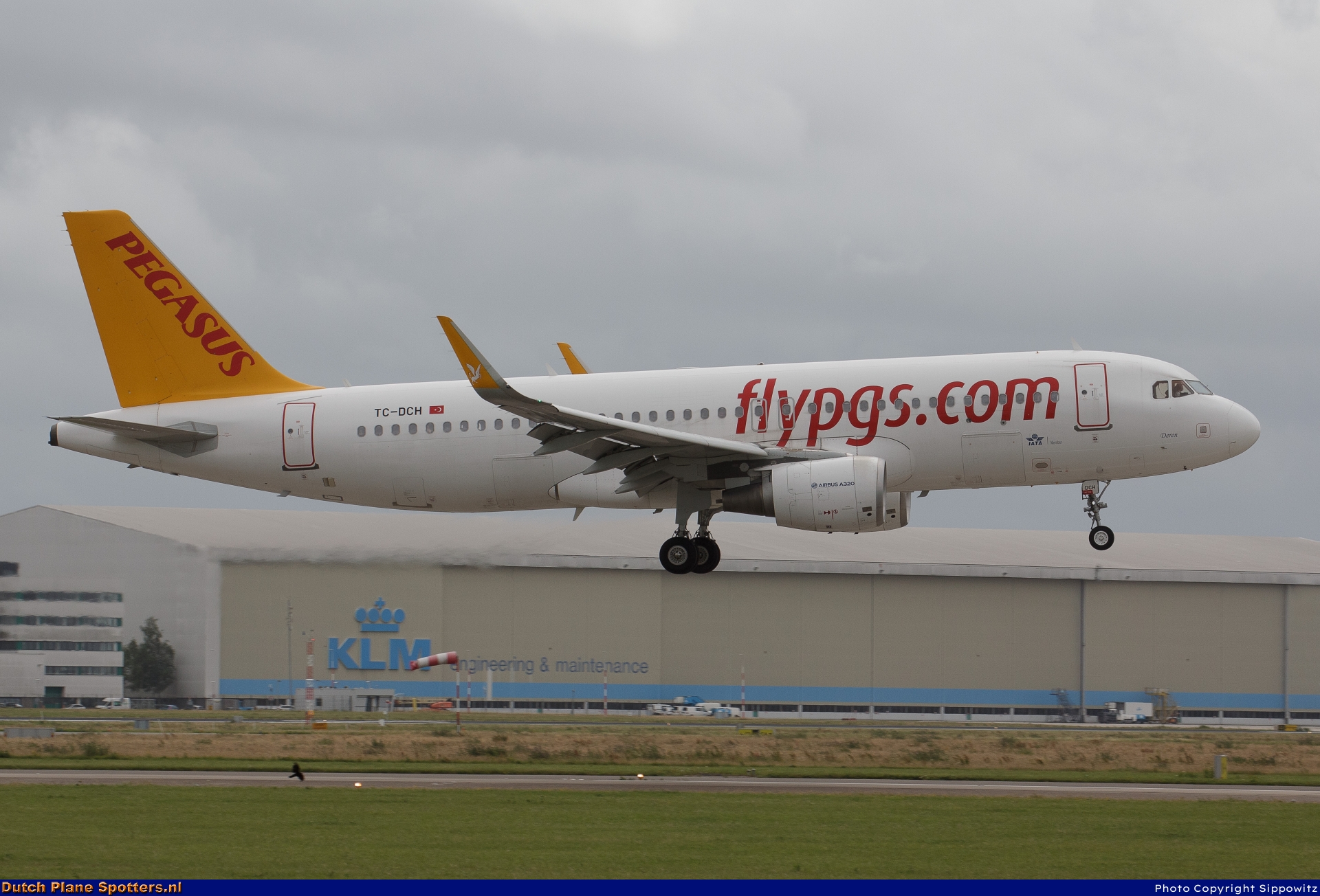 TC-DCH Airbus A320 Pegasus by Sippowitz