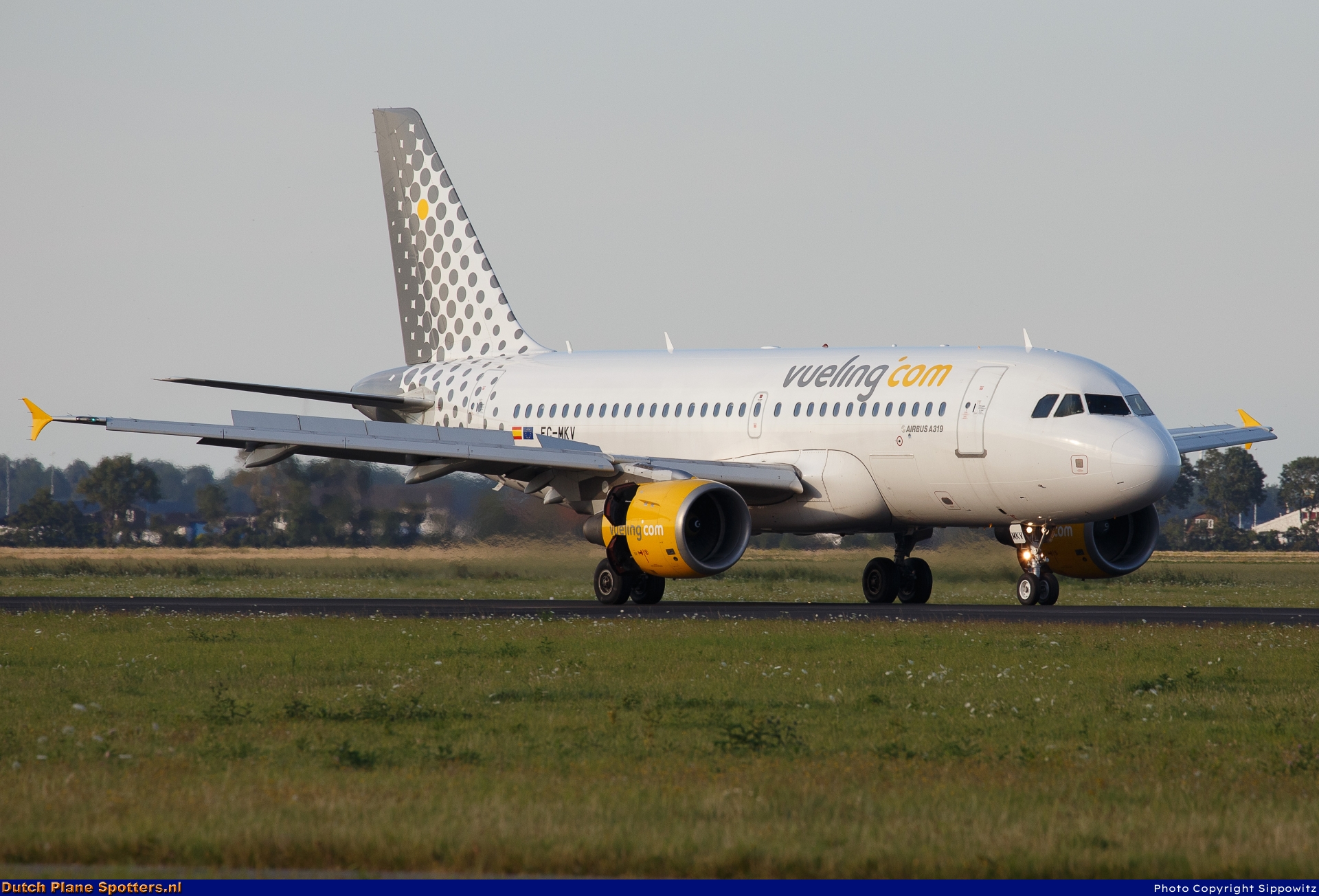 EC-MKV Airbus A319 Vueling.com by Sippowitz