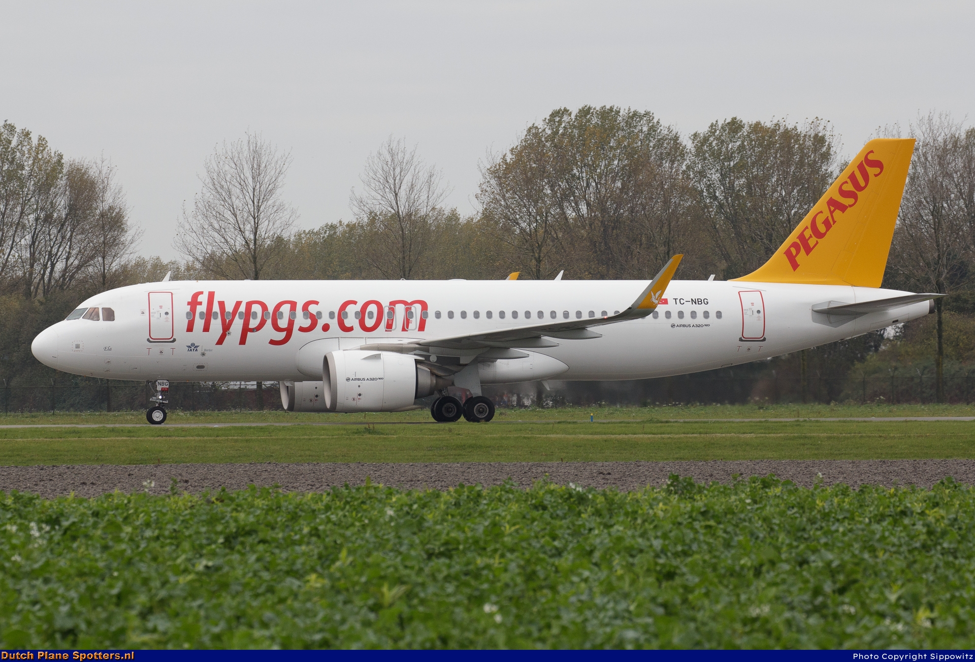 TC-NBG Airbus A320neo Pegasus by Sippowitz