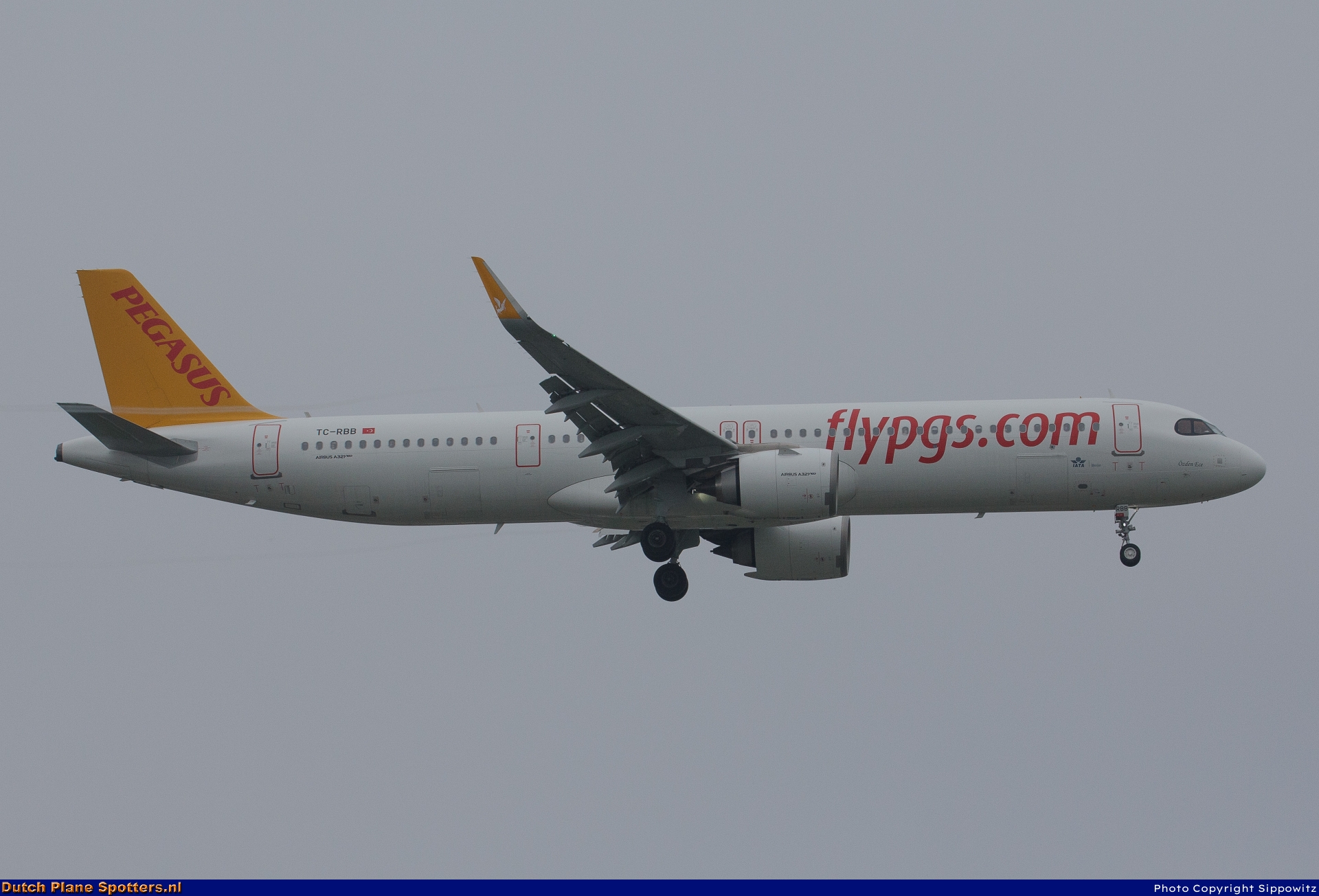 TC-RBB Airbus A321neo Pegasus by Sippowitz