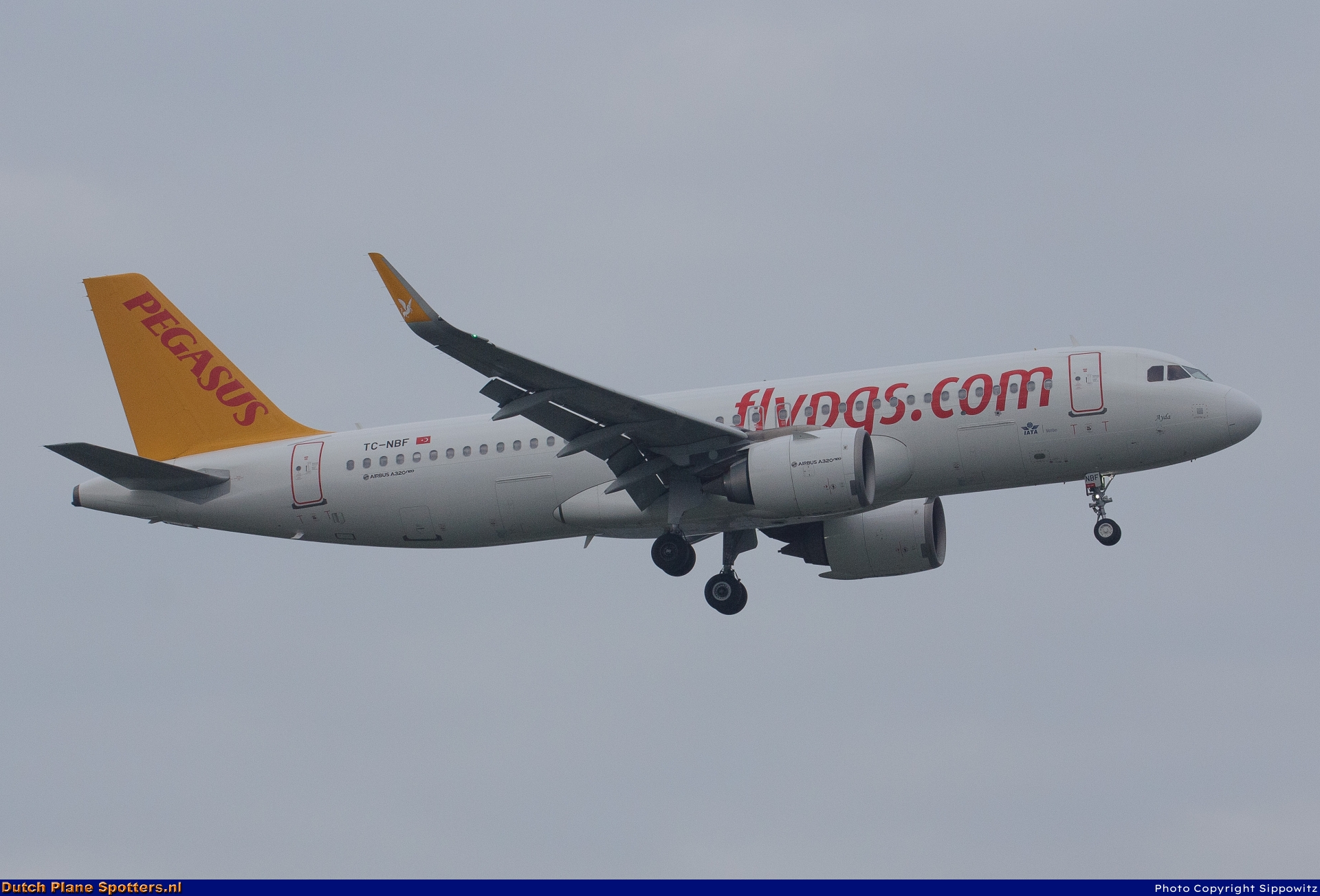 TC-NBF Airbus A320neo Pegasus by Sippowitz