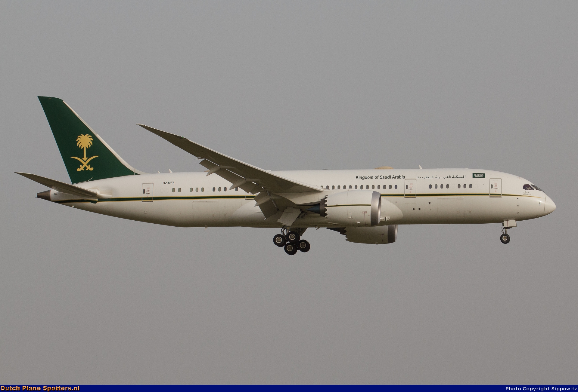 HZ-MF8 Boeing 787-8 Dreamliner Saudi Ministry of Finance and Economy by Sippowitz