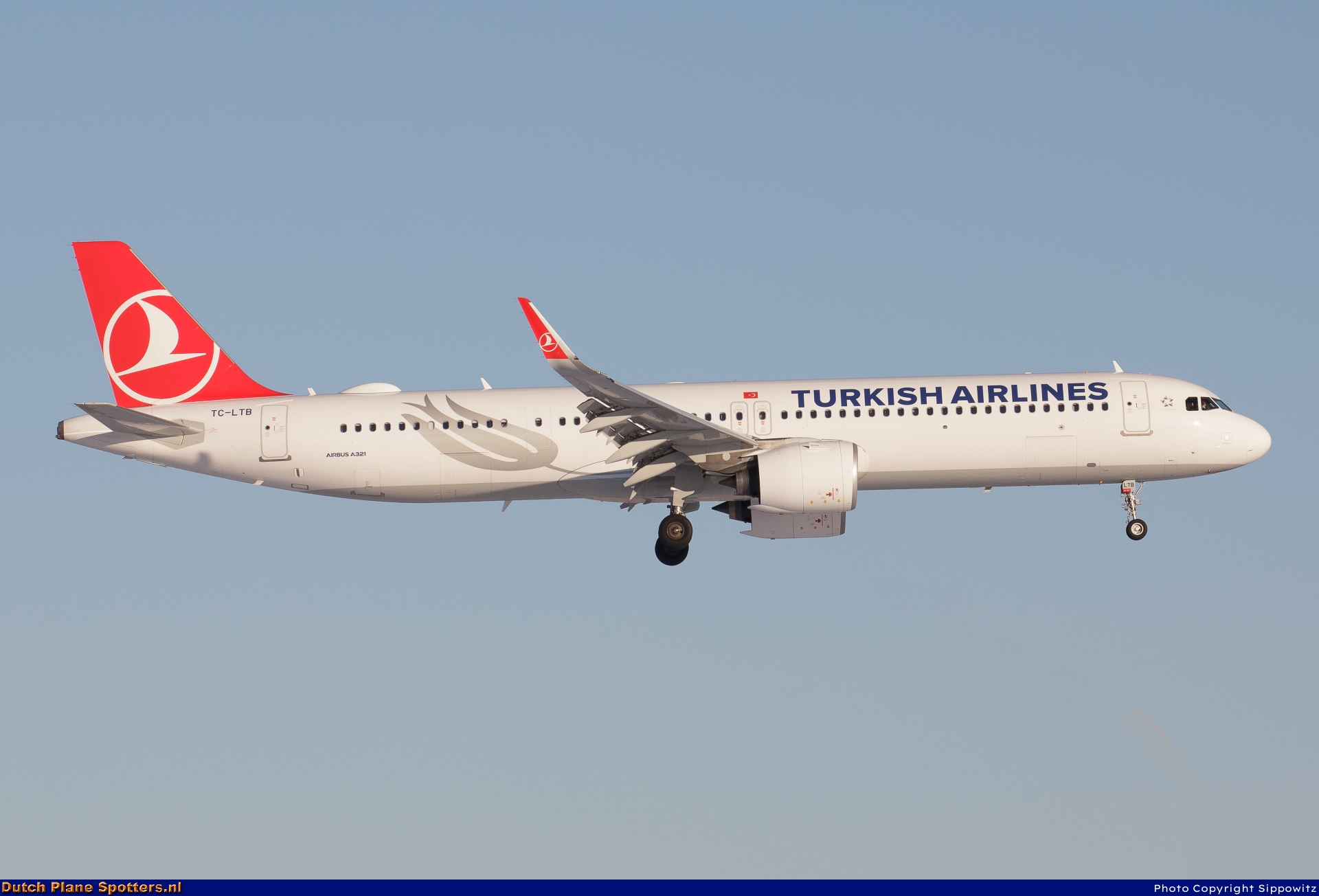 TC-LTB Airbus A321neo Turkish Airlines by Sippowitz