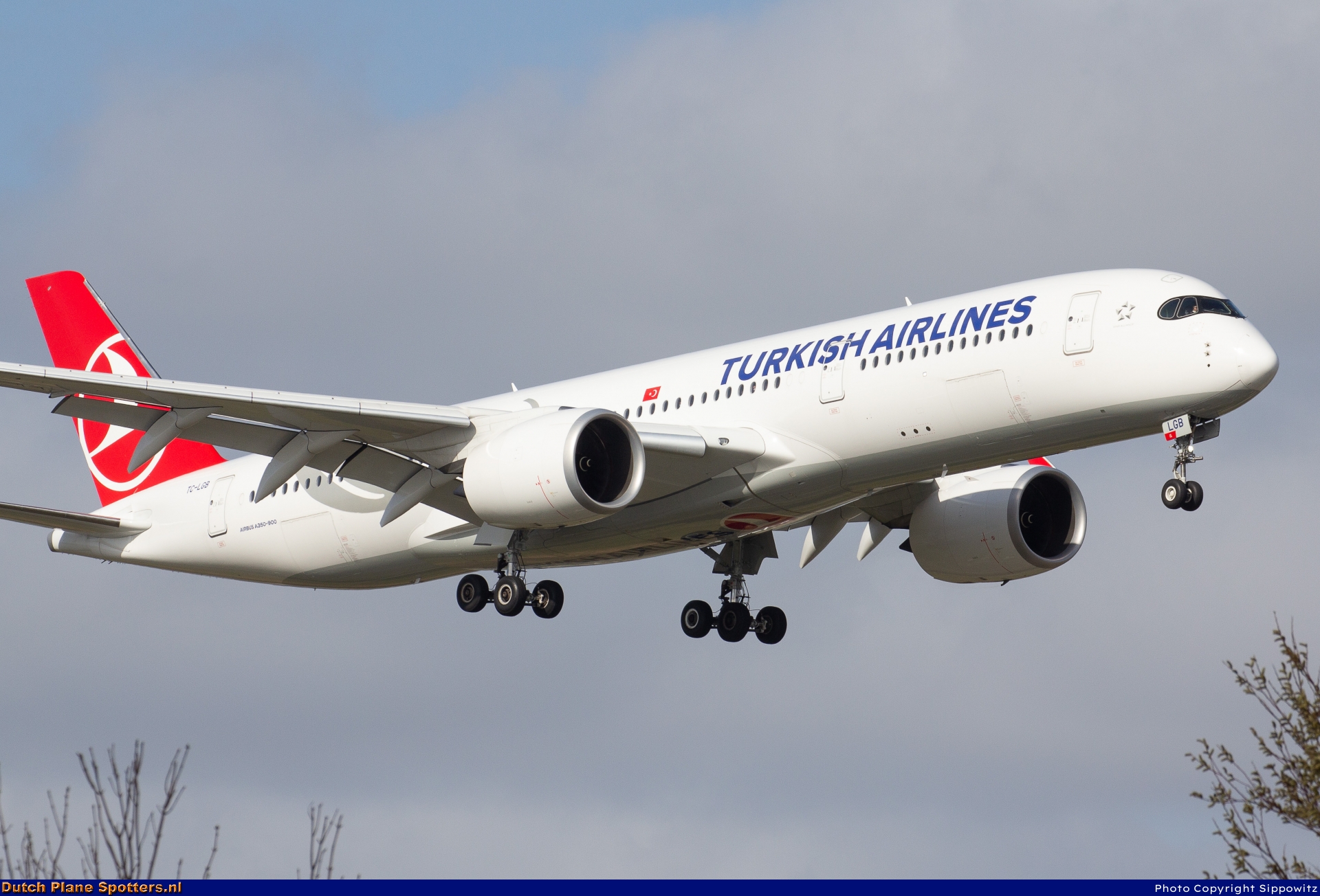 TC-LGB Airbus A350-900 Turkish Airlines by Sippowitz