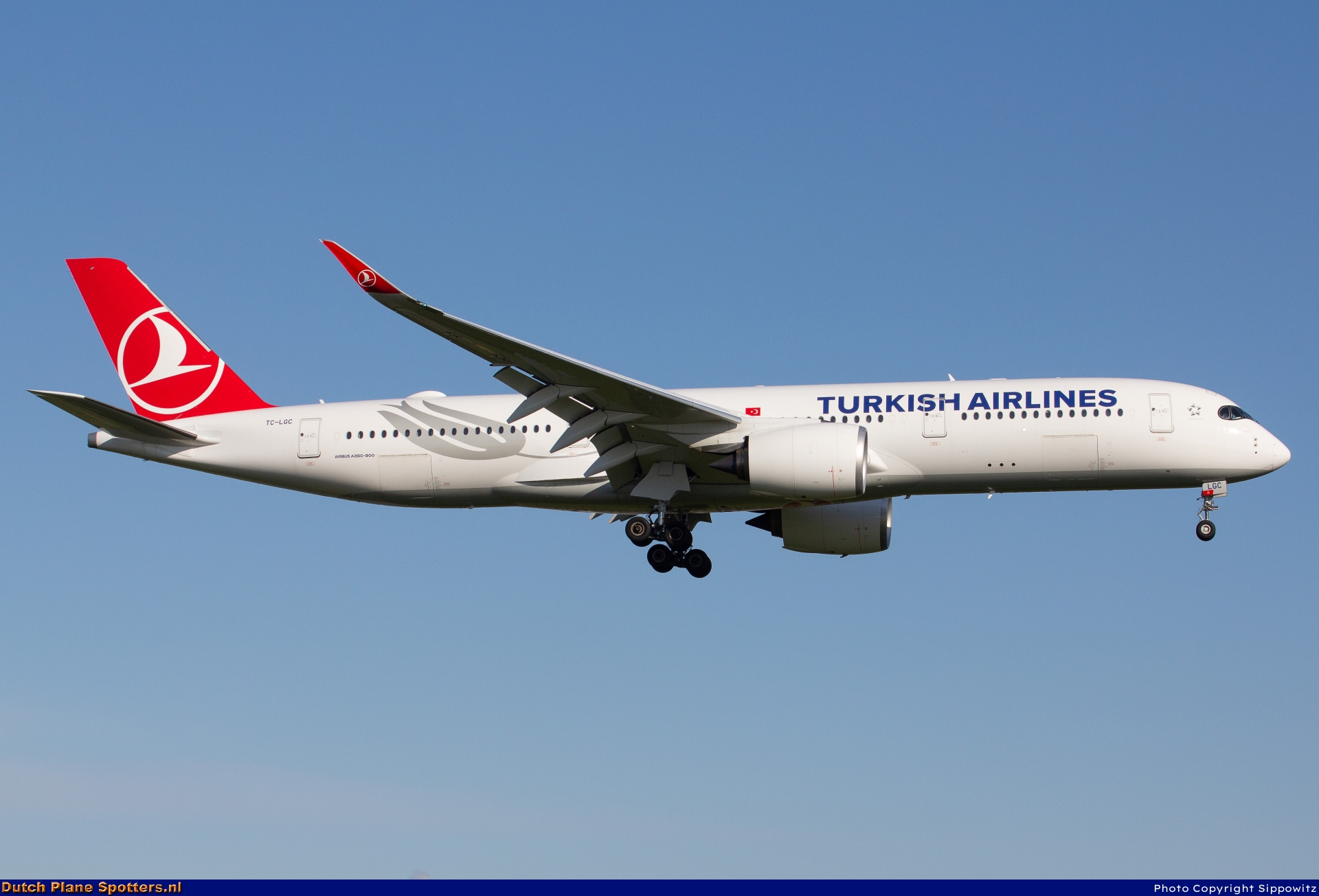 TC-LGC Airbus A350-900 Turkish Airlines by Sippowitz