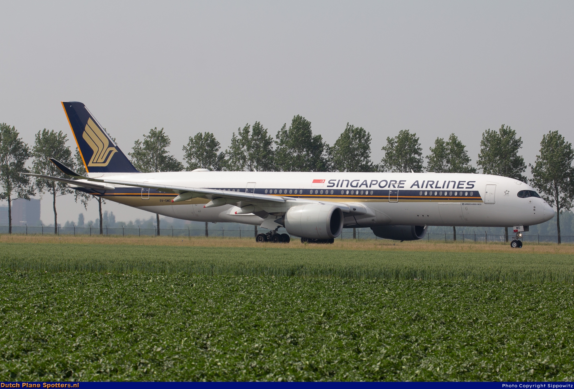 9V-SMO Airbus A350-900 Singapore Airlines by Sippowitz