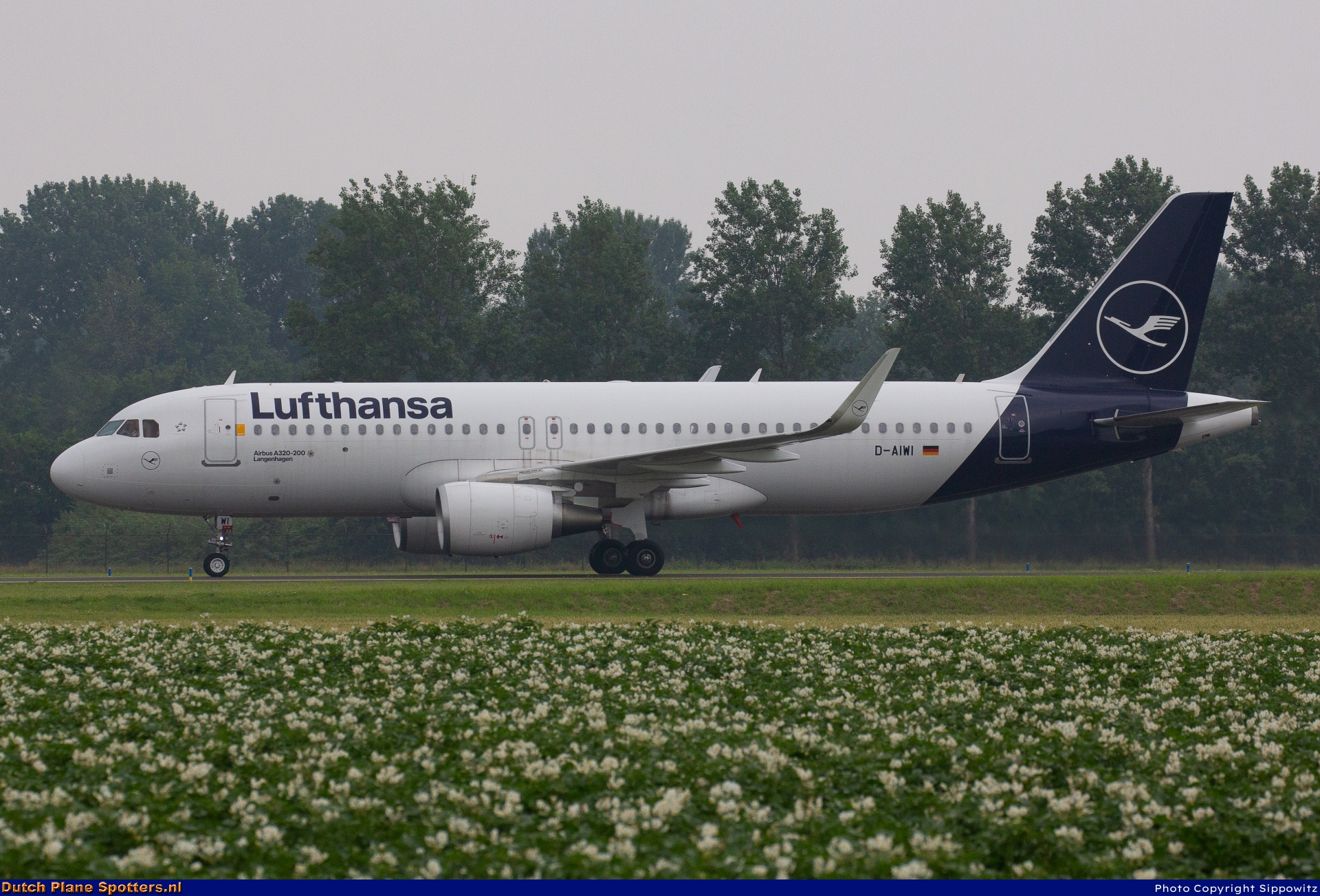 D-AIWI Airbus A320 Lufthansa by Sippowitz