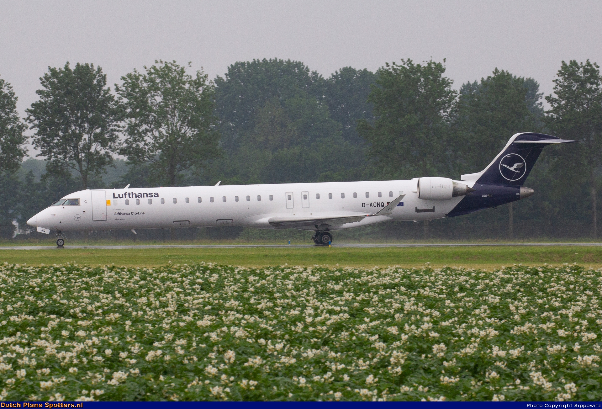 D-ACNQ Bombardier Canadair CRJ900 CityLine (Lufthansa Regional) by Sippowitz