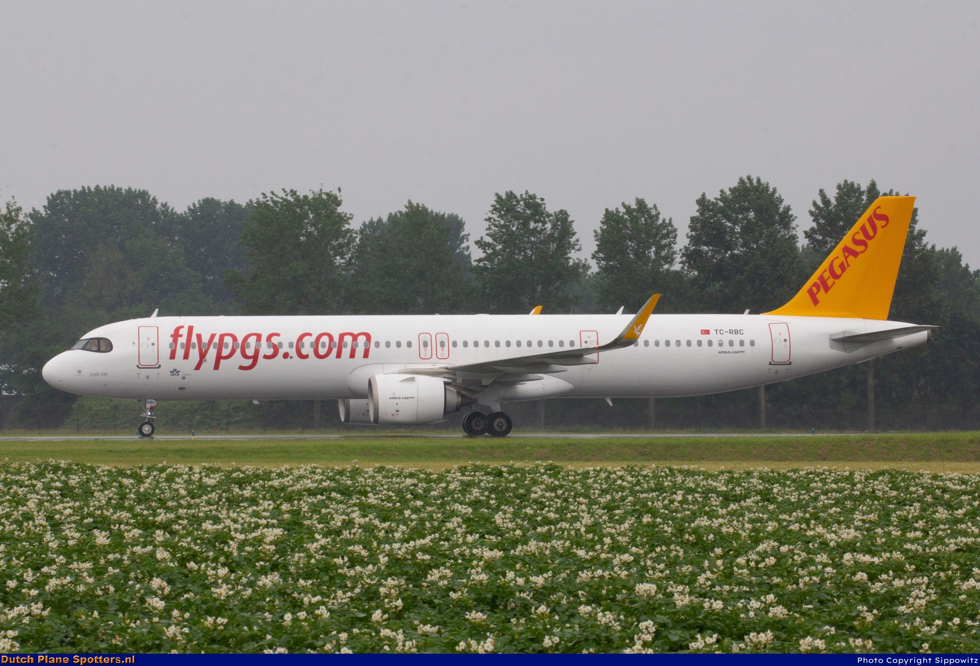 TC-RBC Airbus A321neo Pegasus by Sippowitz